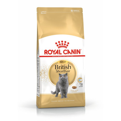 Royal Canin British Shorthair Adult – Hrană Uscată pentru Pisici Adulte din Rasa British Shorthair – 10 kg